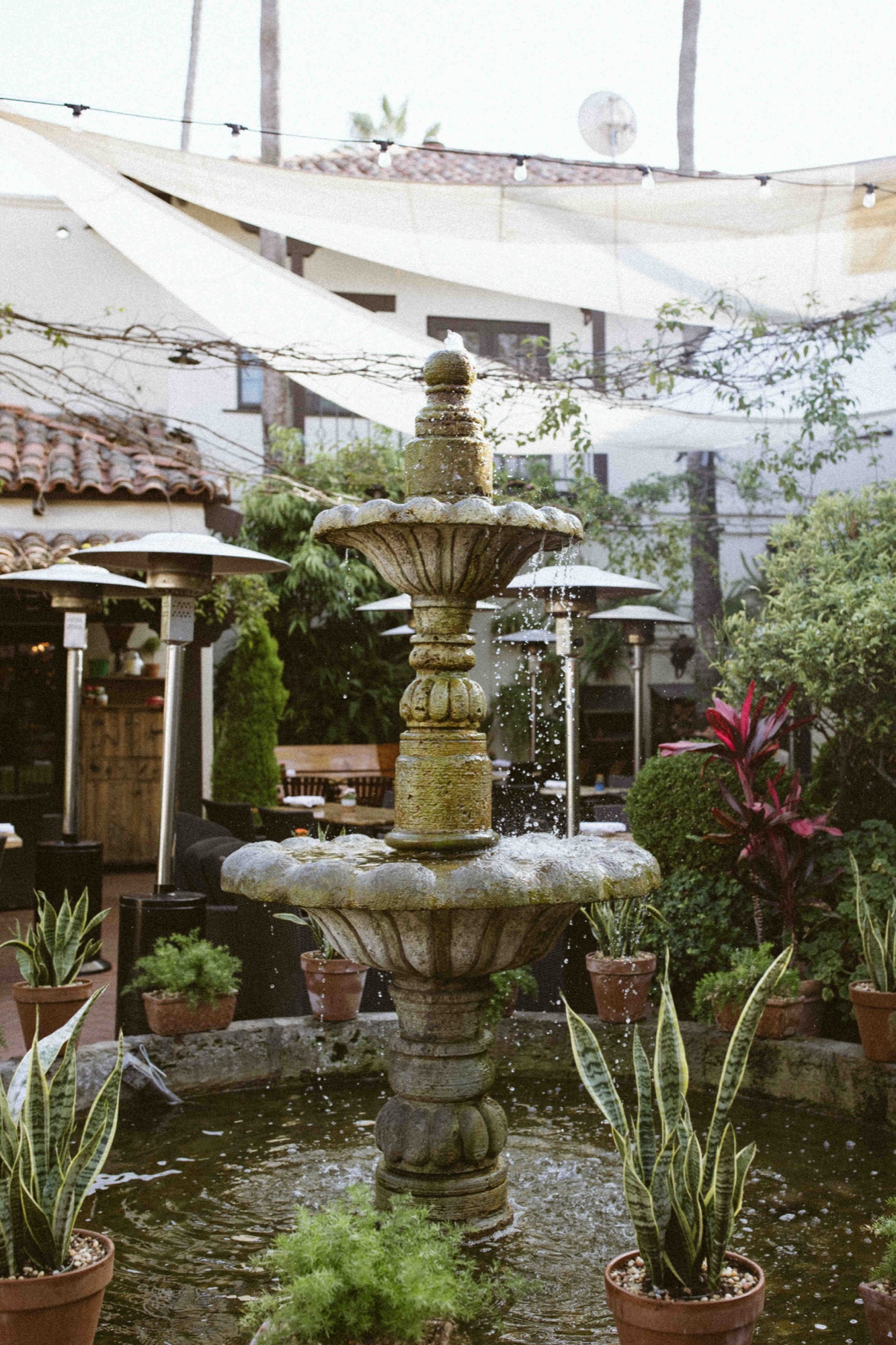 The string-lit courtyard patio and tiered stone fountain at Tin Roof Bistro at golden hour