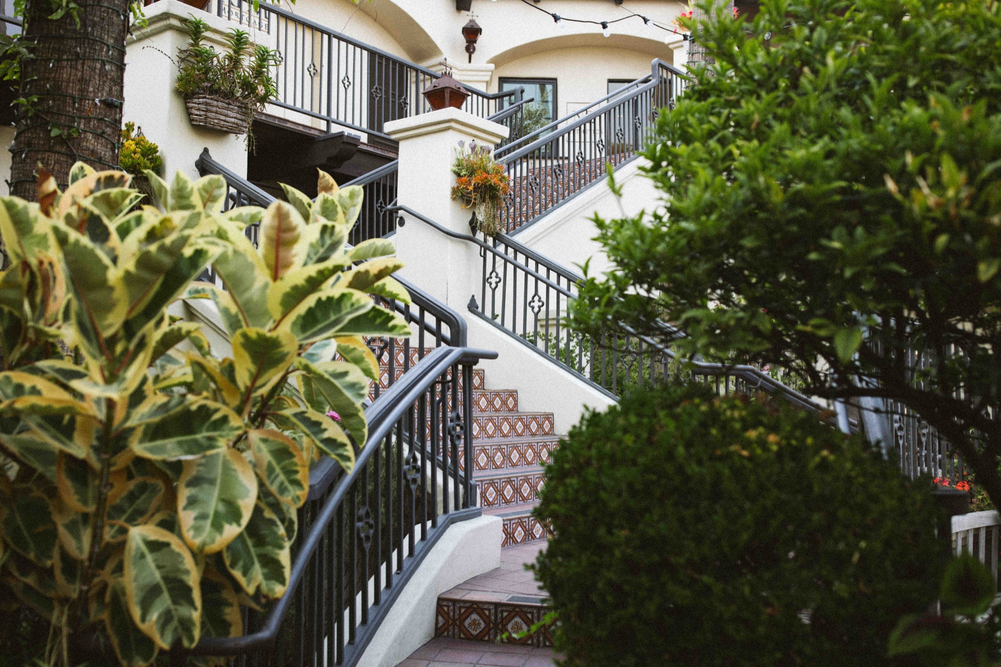 A Spanish-tile staircase framed by greenery and string lights at the entrance to Tin Roof Bistro